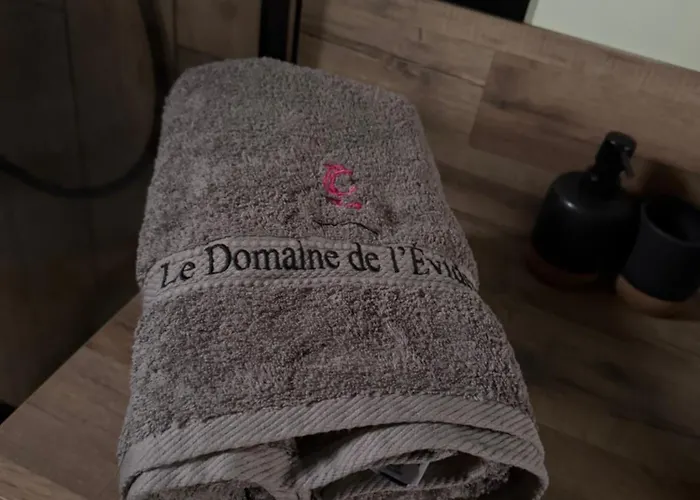 Apartment Avec Piscine Et Privatif Exterieur 4 Personnes Lestrem