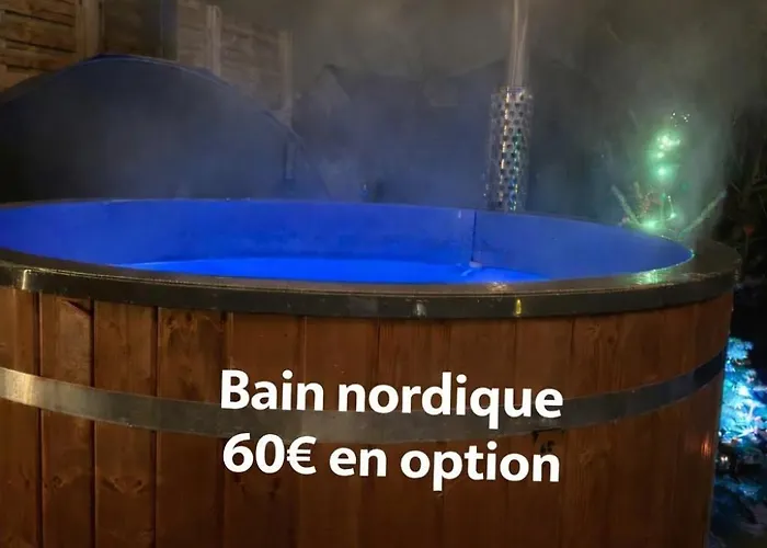 Apartment Avec Piscine Et Privatif Exterieur 4 Personnes Lestrem